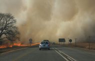 Environmental Affairs contains wildfires in Limpopo