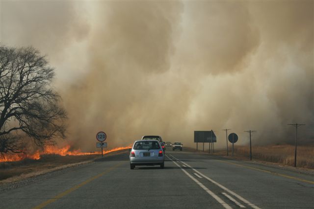 Environmental Affairs contains wildfires in Limpopo