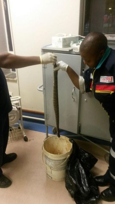 Snake bite from puff adder at Rooidraai in North West leaves man in serious condition