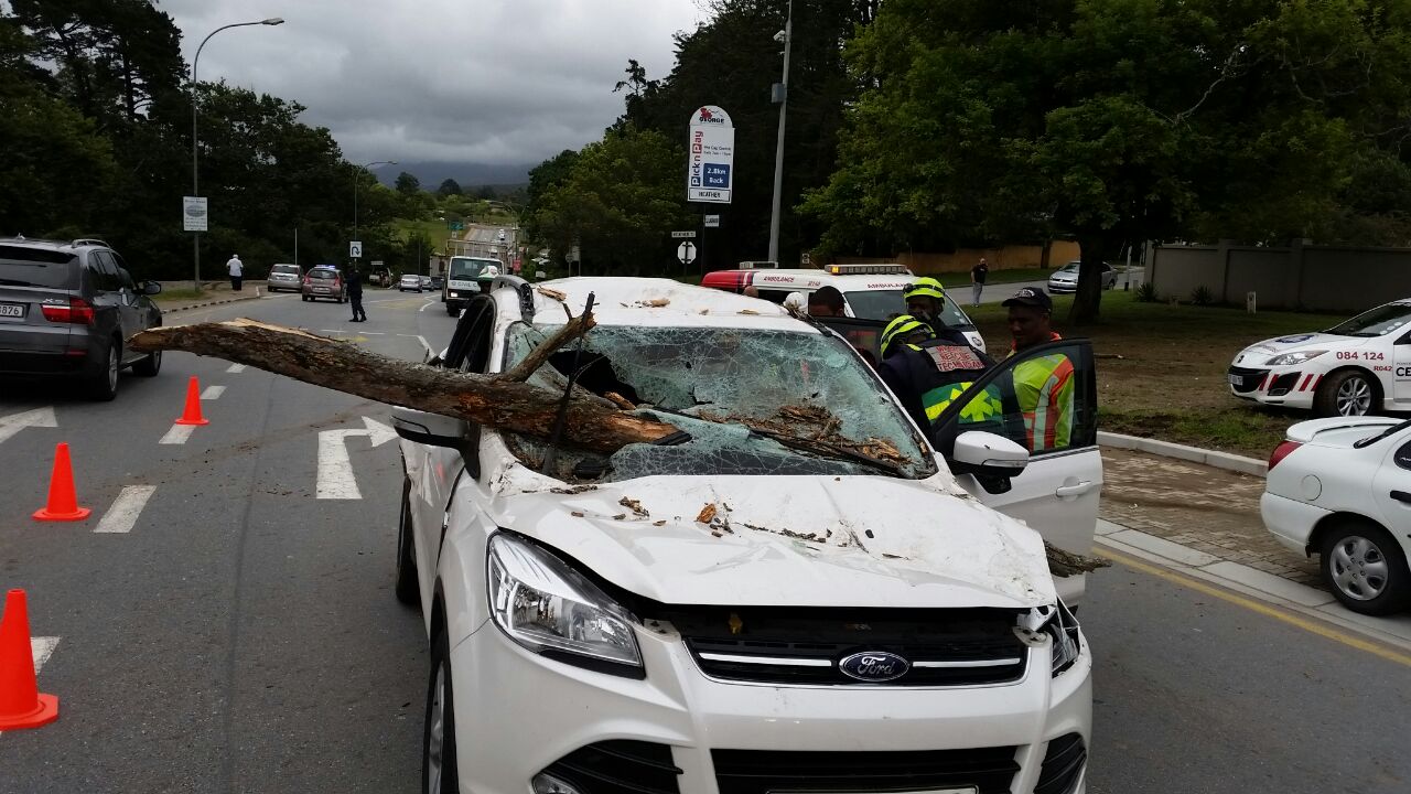 Crash into fallen tree in George leaves child with minor injuries