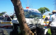 Taxi collides into tree leaving 15 injured