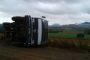 N3 Camperdown rollover crash leaves one seriously injured