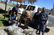 Vigilant Bityi members recovered abalone worth more than R100 000 and confiscate rental vehicle