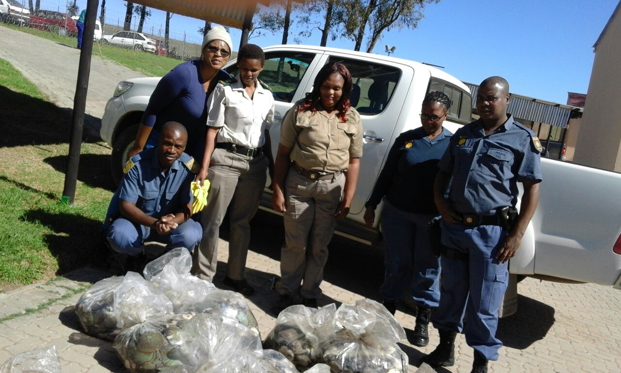 Vigilant Bityi members recovered abalone worth more than R100 000 and confiscate rental vehicle