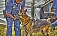 PE K9 Unit arrest suspect and confiscate drugs after tip-off