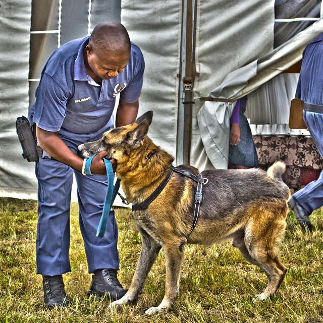 PE K9 Unit arrest suspect and confiscate drugs after tip-off