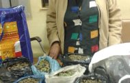 Woman arrested in possession of 11 bags of dagga on minibus taxi