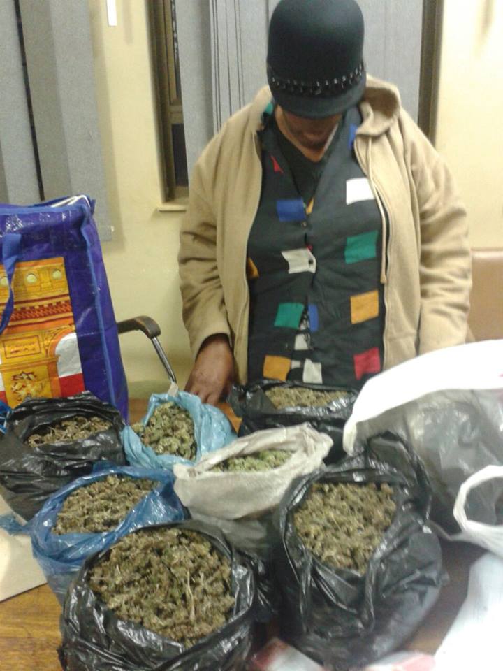 Woman arrested in possession of 11 bags of dagga on minibus taxi