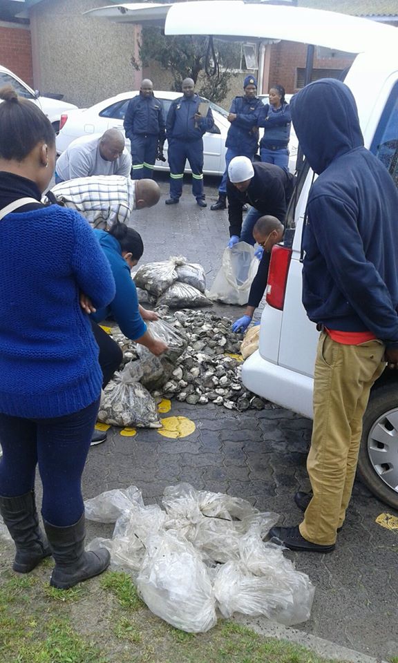 Vehicle stopped and abalone confiscated in Khayelitsha