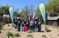 Toyota feeds the community for Arbor Day