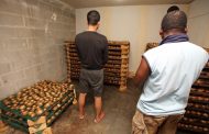 Zimbabwean and Chinese national arrested and illegal abalone facility confiscated in Gordon's Bay