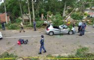 Freak accident kills man as tree falls on car