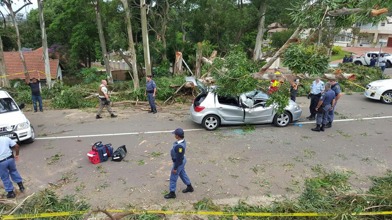 Freak accident kills man as tree falls on car