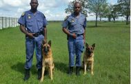Stock thieves arrested by Bethlehem K9 Unit