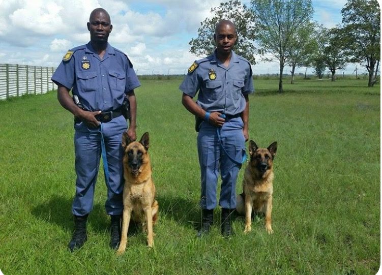 Stock thieves arrested by Bethlehem K9 Unit