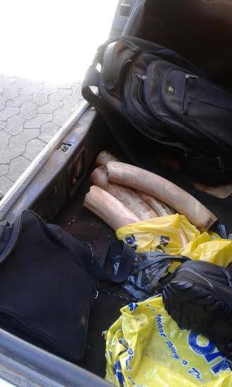 Three arrested inpossession of rhino horn at Elandsrand, Brits