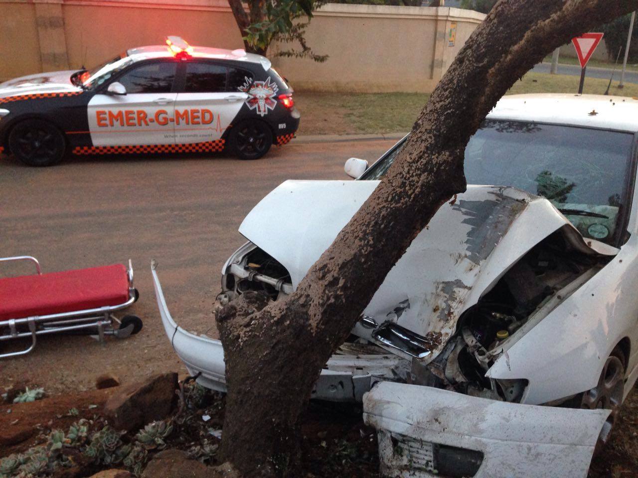 Driver injured in collision into tree in Mayberry park