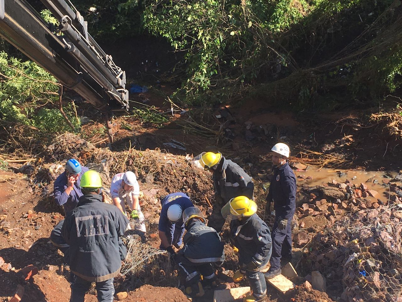 Search for missing Durban resident Brenda Scriven continues