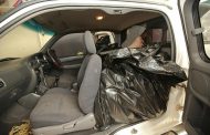 Arrest made and illegally transported abalone seized