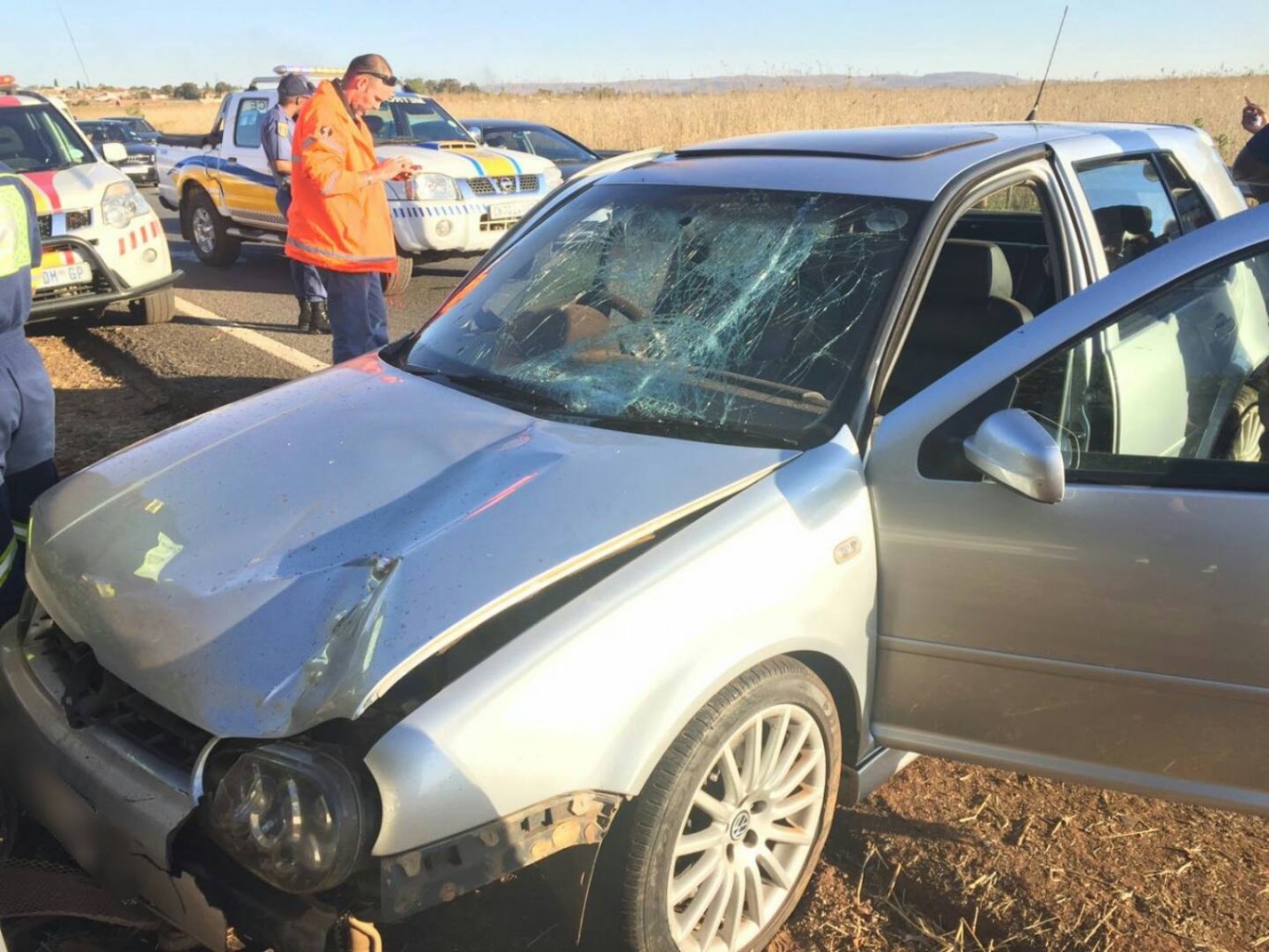 Pedestrian killed in collision on the N3 North between Leondale and Heidelberg, Vosloorus.