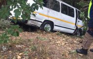 Taxi collides with tree, 1 injured, Parktown