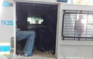 Arrests made of suspected fraudsters