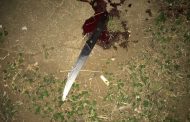 Robbery suspect injured during attack on police in Avoca area