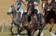 Paddock to host SA Vs Zambia U14 Junior International Polocrosse Tournament this weekend