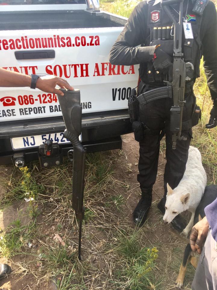 Monkey Poachers Apprehended, Verulam