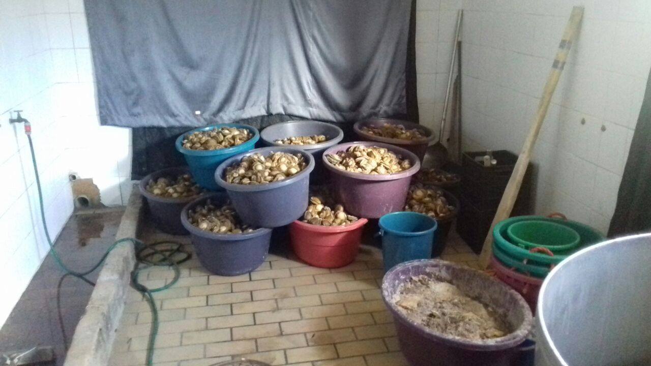 Three suspects arrested for illegal possession of Abalone, Gauteng