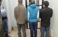 Five suspects arrested near Fouriesburg for cross-border crimes
