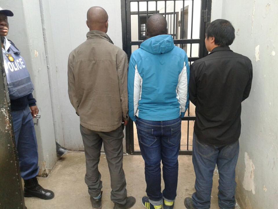 Five suspects arrested near Fouriesburg for cross-border crimes