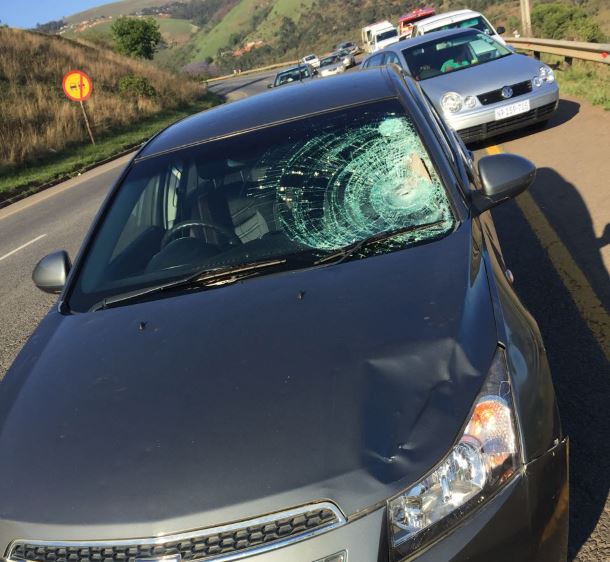 Edendale pedestrian critical following collisions with a car