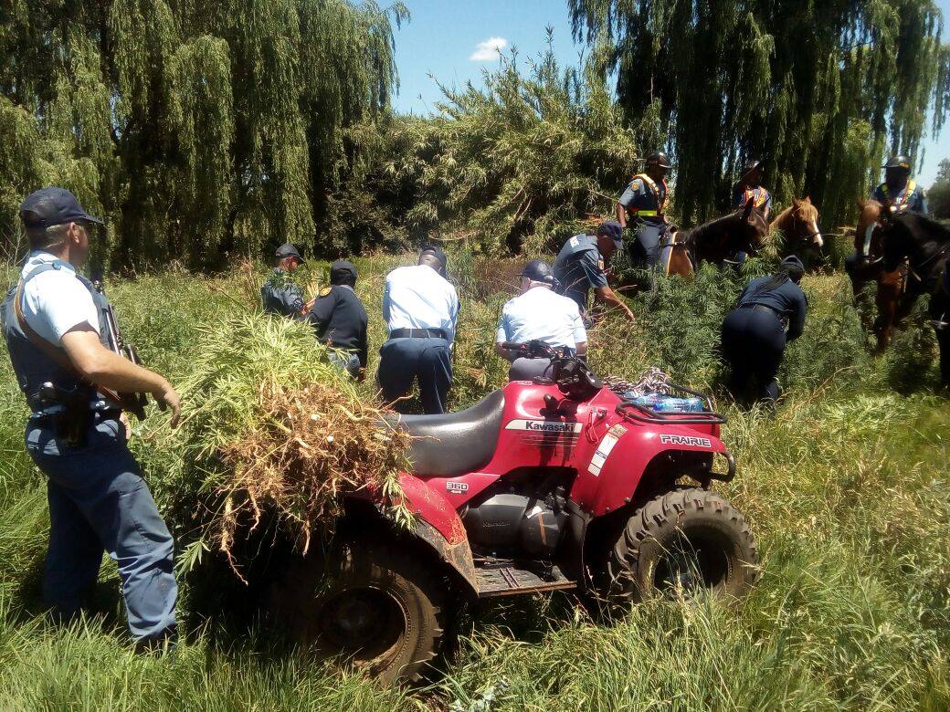 Gauteng police and community join hands in fighting drugs and crime