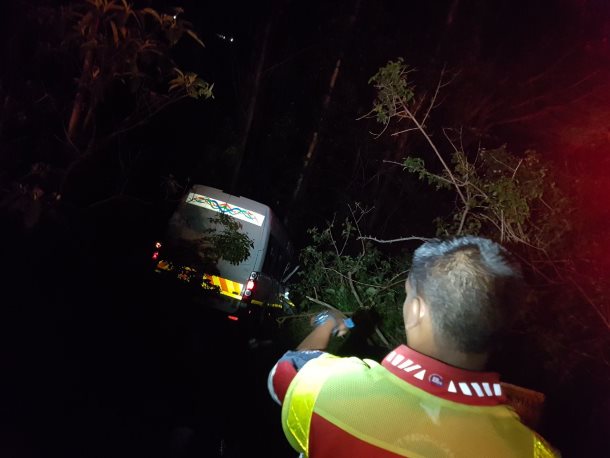 Driver killed as his taxi crashed down an embankment in Hillcrest