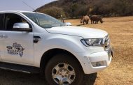 World Wildlife Day: Creating Hope from Hurt