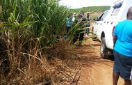 Two-Year-Old Witnesses Mothers Murder in Cottonlands, KZN