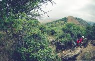 Itec Oxpecker Trail Run offers hills and high-fives