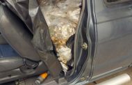 Man to appear in court for illegal possession of abalone