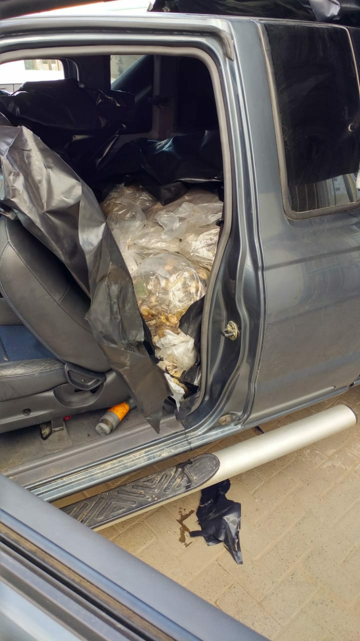 Man to appear in court for illegal possession of abalone