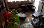 Abalone estimated at R9.5 million confiscated in Tygerdal, Goodwood
