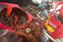 Eastern Cape police lost two members in car accident