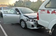 Vehicles collide and dog killed in crash after dog ran into the flow of traffic near Ottawa intersection