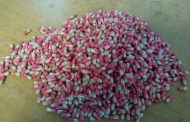 Chatsworth drug lords nabbed