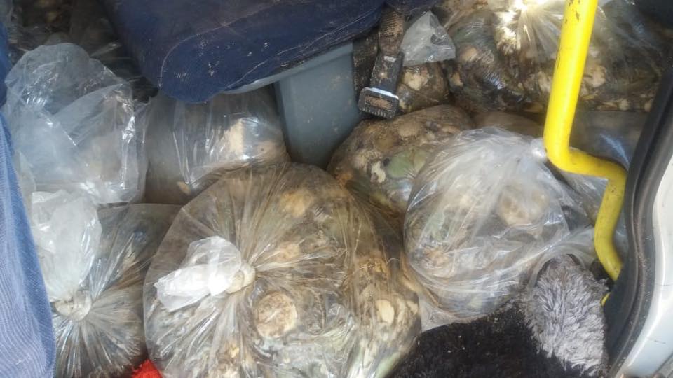 Vigilance by Bloemfontein K9 Unit members resulted in the recovery of abalone, duo arrested