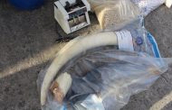 HAWKS and Crime Intelligence dismantle yet another drug network in Somerset West and Cape Town