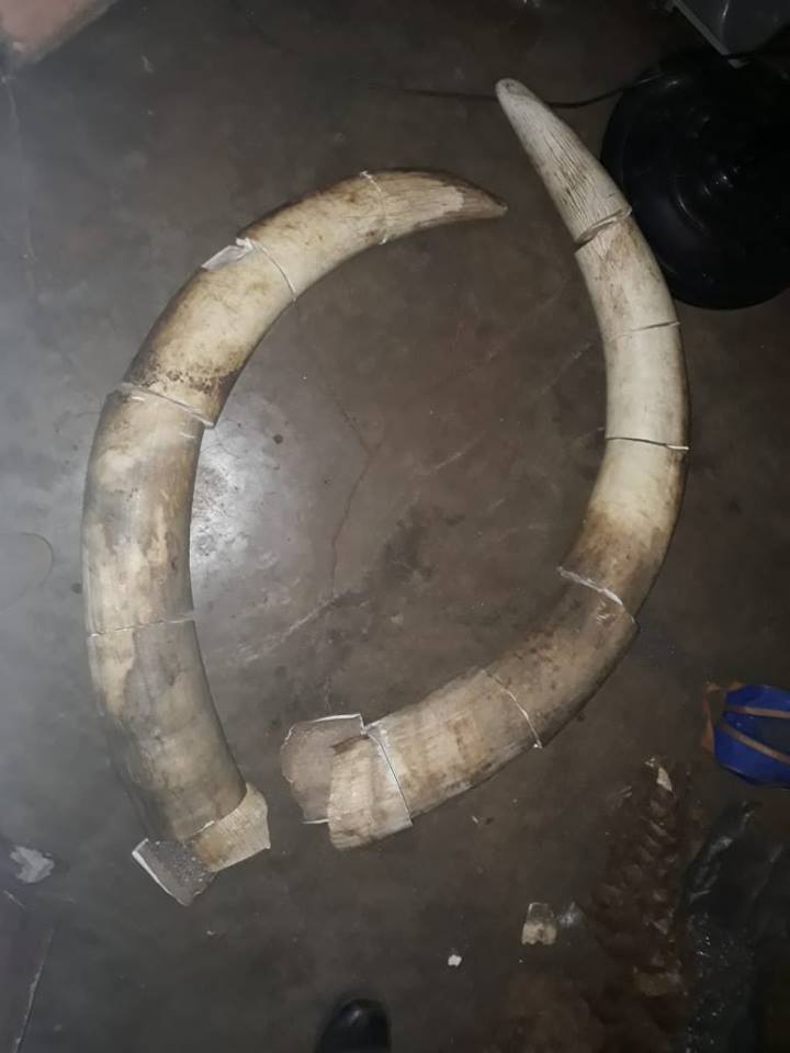 Trio arrested for possession on ivory and precious metal