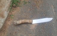 Robbery suspect apprehended in Brindhaven