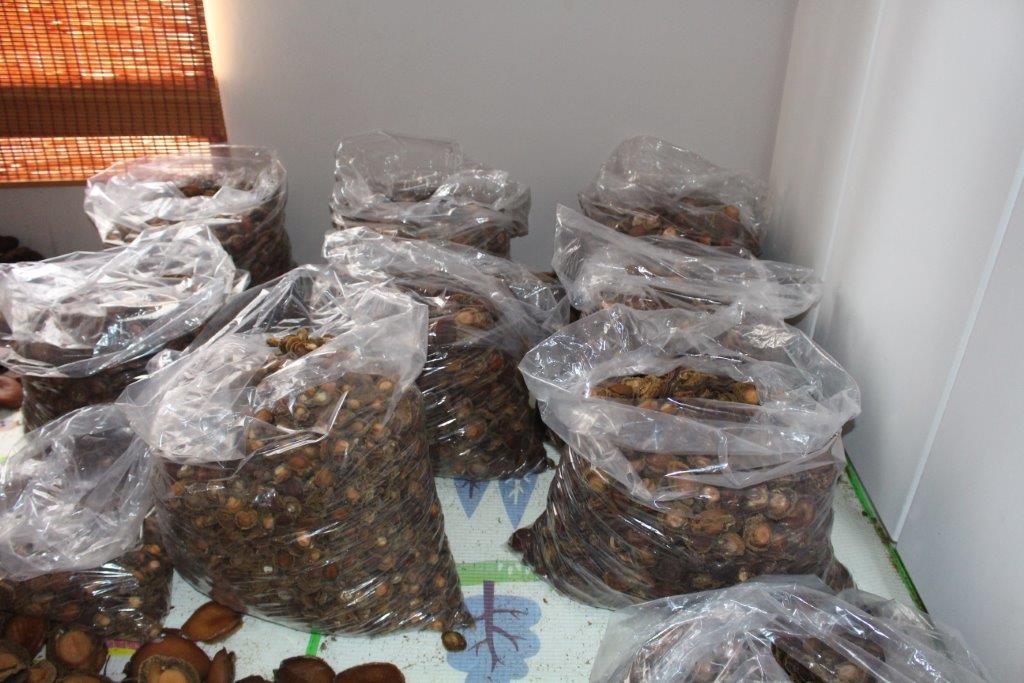 Two suspects arrested for R5.5 million Abalone haul