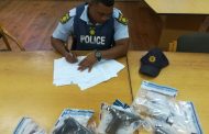 Vigilant police removed two Illegal firearms in Hillview